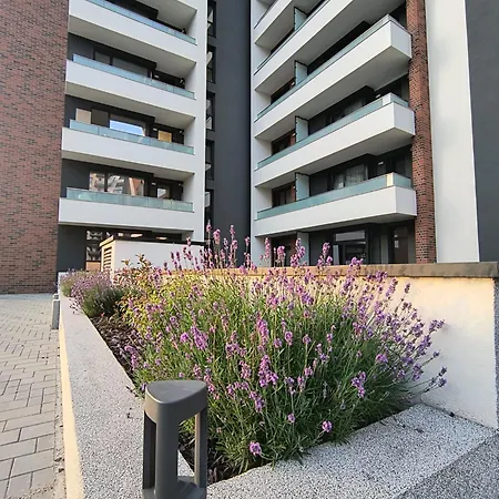 Park Lake Apartament